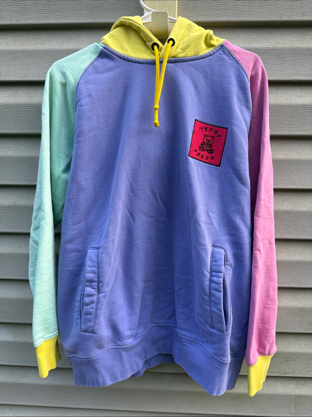 Teddy Fresh | Colorblock Hoodie Sweatshirt size Medium